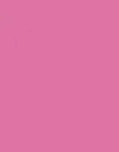 Load image into Gallery viewer, Premium Multi-Surface Gloss Farmers Daughter Spray Paint - 10 Oz - Pink
